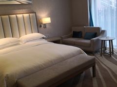 -圣爵菲斯大酒店(长沙世界之窗店)