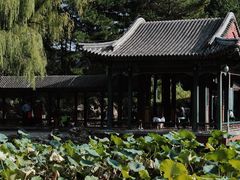 -颐和园