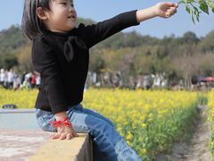 -红山村