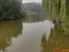 -廊坊市自然公园