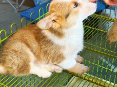 -济南高新万达广场