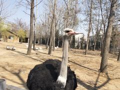 -大连森林动物园