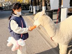 -J Create城市露营咖啡·简餐·宠物(上海动物园店)