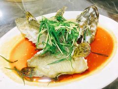 老虎斑-蚝专家(北滘店)