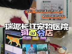 -瑞派长江宠物医院·猫科·外科·24小时夜护(谊城公寓分院)