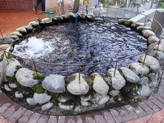 -麻小度青花椒鱼(安德总店)