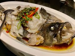 青花椒蒸龙胆鱼-闽和南(深圳万象城店)