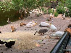 -大连森林动物园