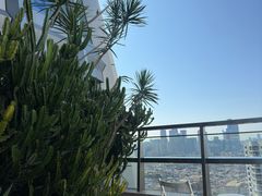 -COFFEEOLOGY咖啡学(天银店)