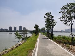 -金银湖国家城市湿地公园