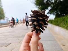 -青岛第二海水浴场