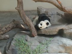 -宁波野生动物园