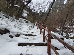 -青峰峡国家森林公园