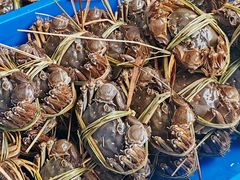 -乡乐园蟹庄·阳澄湖农家乐