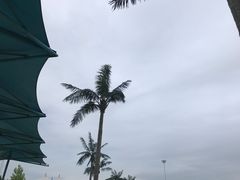 -汤山欢乐水世界