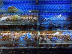 水产区-蚝魁竹笼蒸生蚝 余杭店