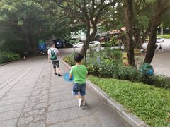 -青青世界