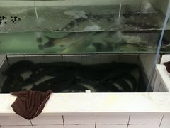-老四川平头酸菜鱼(衙前店)