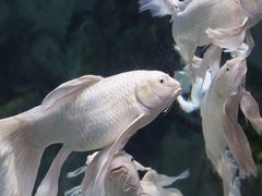 -正佳极地海洋世界