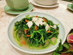 枸杞山药浸皇帝菜-满乐潮州(深业上城店)
