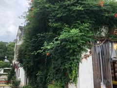 -青果巷历史文化街区