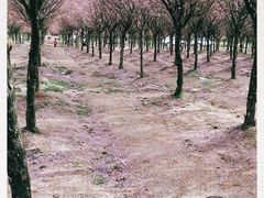 -汉中石门栈道风景区