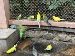 -南宫五洲植物乐园