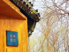 -春风习习