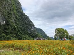 -钟山水墨田园