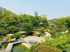-上海吴淞炮台湾国家湿地公园