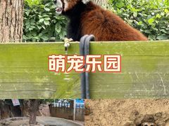 -无锡动物园·太湖欢乐园