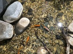 -邈墨茶馆(凤起路店)