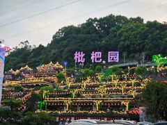 -枇杷园食为鲜火锅(南山店)