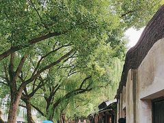 -乌镇东栅景区