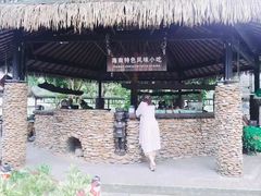 -呀诺达热带雨林