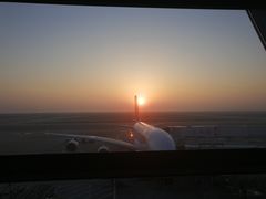 -上海浦东国际机场-T2航站楼