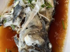 -巧克力渔家.小船海鲜胶东菜(万平口店)