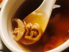 皇室白菌汤-西郊5号·Maggie 5