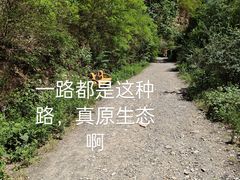 -龙门涧景区