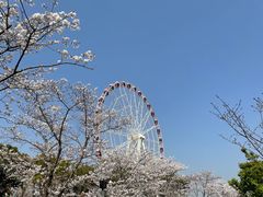 -自然谷恐龙园