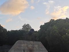 -吴淞炮台湾湿地森林公园烧烤区