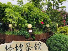 -怪坡茶馆