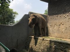 -拉古南动物园