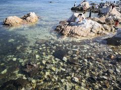 -养马岛旅游度假区