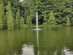 -广州市帽峰山景区