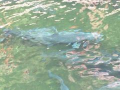 -广州市流溪河国家森林公园