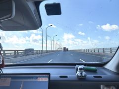 -枸杞岛