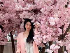 -金茂览秀城