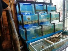 水产区-老东镇啤酒屋海鲜加工·蒸汽海鲜·海鲜烧烤(台东店)