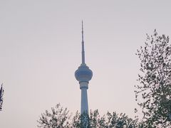 -中央广播电视塔